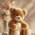 Teddy Bears